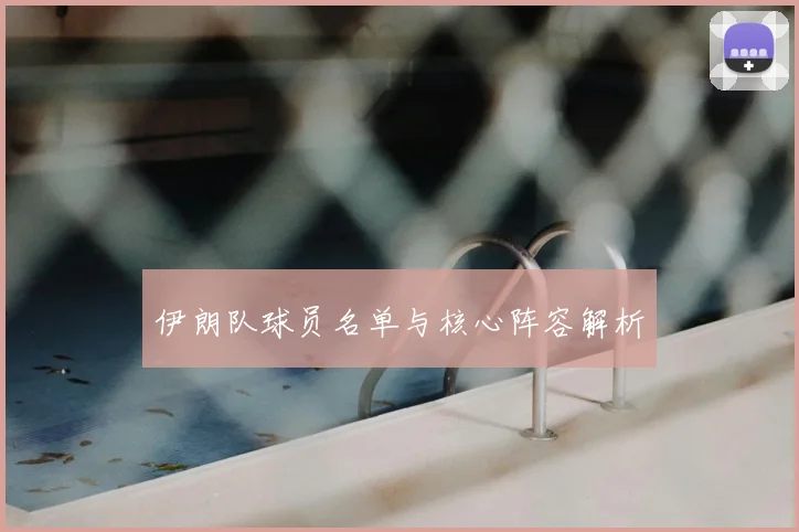 伊朗队球员名单与核心阵容解析
