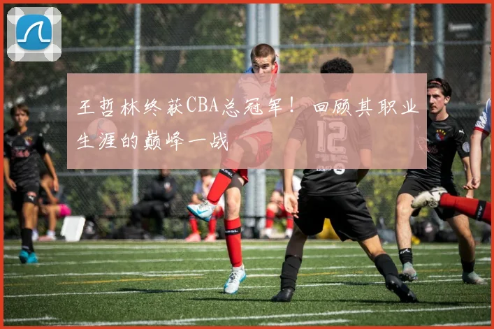 王哲林终获CBA总冠军！回顾其职业生涯的巅峰一战